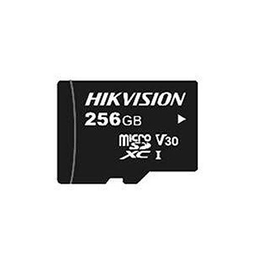 Hikvision HS-TF-L2/256G/P CL10 Micro SD Card, 256GB